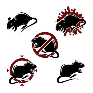 Mouse animals set. Vector
