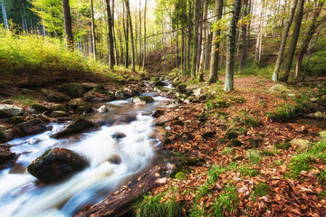 Erlebnis Ilsetal im Harz