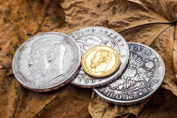 coins on leaves