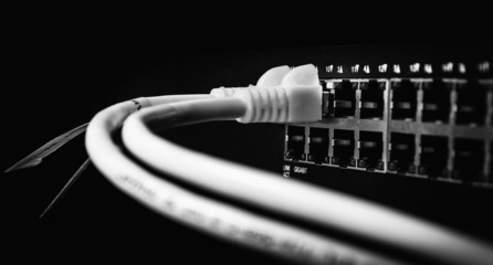 UTP Cat5e on network switch