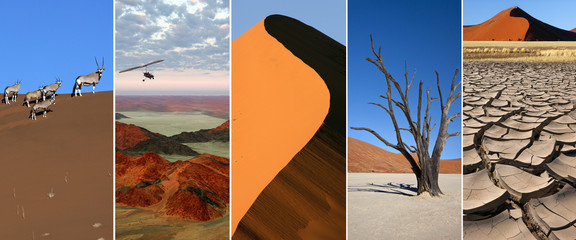 Namib Desert - Namibia