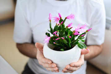 close up of man's hands holding flower in pot