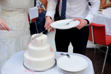 Obraz na płótnie Canvas Bride and Groom at Wedding Reception Cutting the Wedding Cake