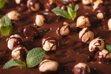 Background of hazelnut and chocolate macro. Horizontal