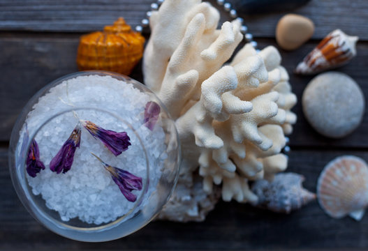 seashells and coral on the wooden table