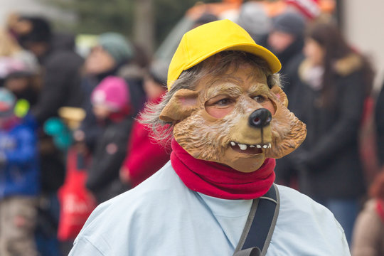 Der B&auml;r ist los...