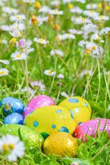 colorful Easter egg deposited on the prairie grass