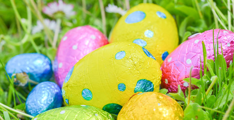 colorful Easter egg deposited on the prairie grass
