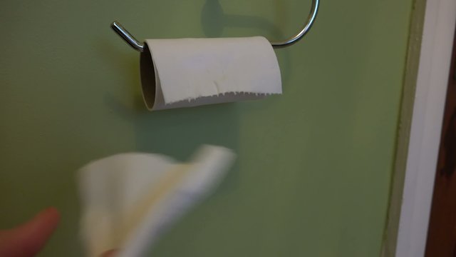 4k toilet roll being used