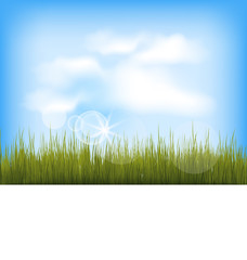 Obraz premium Summer background with green grass, blue sky, clouds
