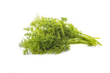 Ramo de eneldo fresco aislado sobre un fondo blanco