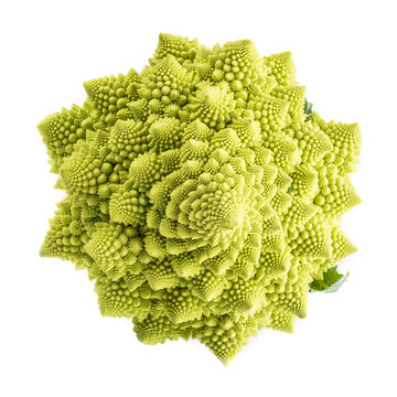 Romanesco broccoli verdura aislada sobre fondo blanco