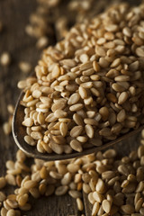 Raw Organic Sesame Seeds