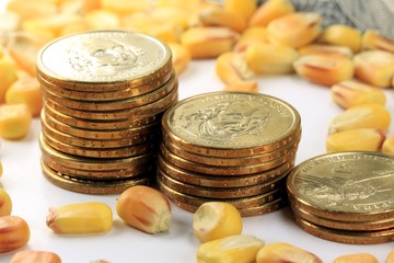 Commodity Market - Futures and Options Trading Concept