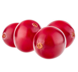 cranberry  isolated on white background cutout