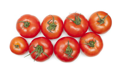 tomatoes
