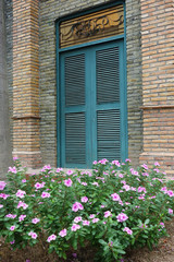 Fototapeta na wymiar window with flower.