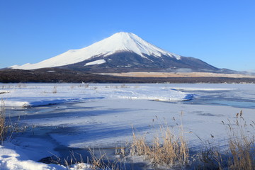冬富士　山中湖にて