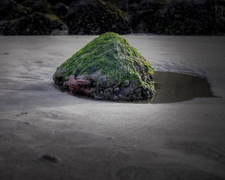 Sea Shore