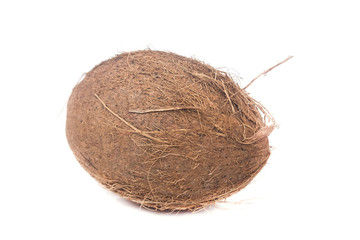 one a large lying coconut