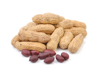 peanut on white background