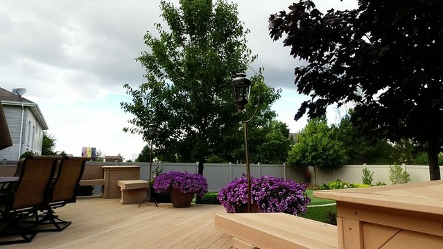 Residential neighborhood with backyard landscape 