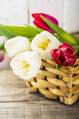 Fototapeta na wymiar Tulip flowers in white basket