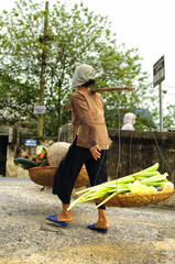 Life of vietnamese florist vendor in Ha Noi, VIETNAM