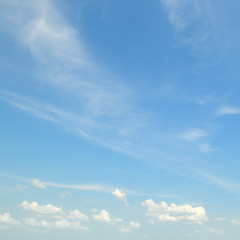 Fototapeta premium clouds in the blue sky