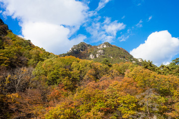 Autumn Mitake Shosenkyo