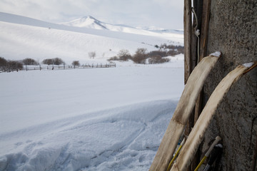 Old hunting skis with fur on snow background