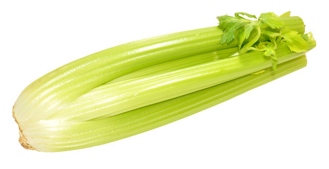 Green Celery Stalks