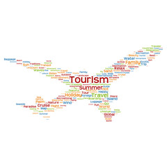 Obraz premium Conceptual tourism travel or tourism plane word cloud