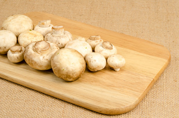 Mushroom