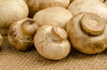 Mushroom