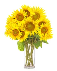 Cercles muraux Tournesol a big bunch of sunflowers in a vase