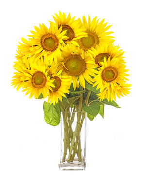 a big bunch of sunflowers in a vase