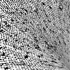 Gunny Texture Asymmetric