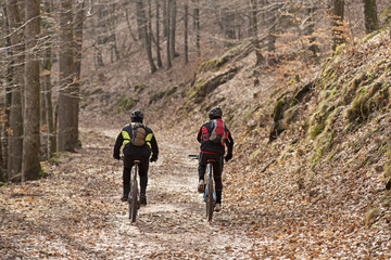 balade en VTT dans la forêt