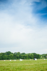 haystacks in the green field
