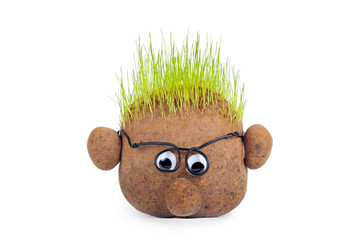 head with grass on top over white background