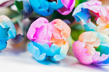 Bouquet  of strange multicolored tulips