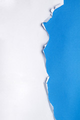 Piece of paper torn in various shapes.