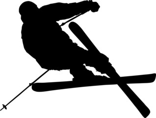 Freestyle skier