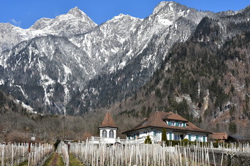 suisse agraire...alpages