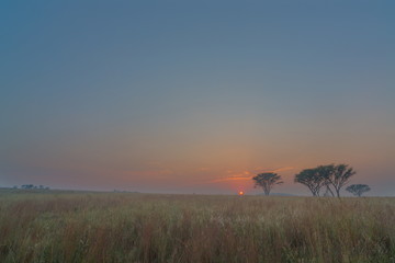 Fototapeta na wymiar Misty sunrise