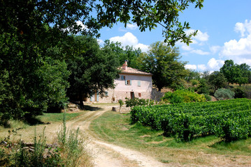 maison dans les vignes