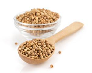 coriander spices in spoon on white