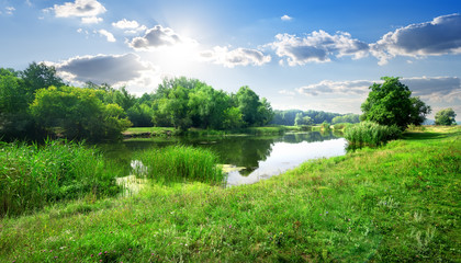 Fototapeta premium River landscape