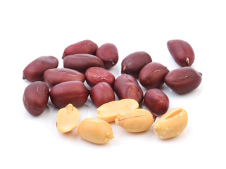 peanut on white background
